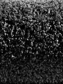 Hochflor-Teppich, Anthrazit 7 Hochflor-Teppich, Anthrazit -KIBEK Verkäufe 4334 16208 Halbrolle