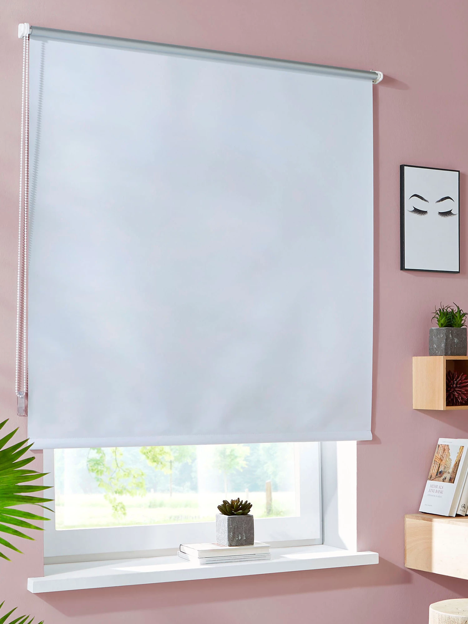 Rollo, Weiss 3 Rollo, Weiss