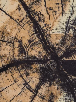 Leinwandbild, Dunkelgelb -KIBEK Verkäufe Baumstamm Leinwandbild braun Dunkelgelb 60x90 lup3