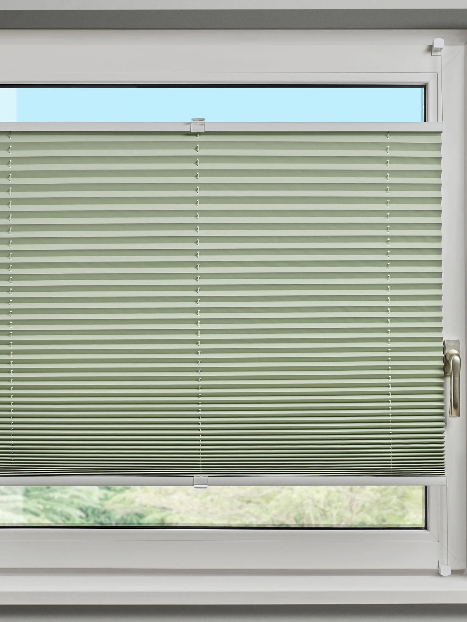 Plissee, Lindgrün 4 Plissee, Lindgrün – Bild 2