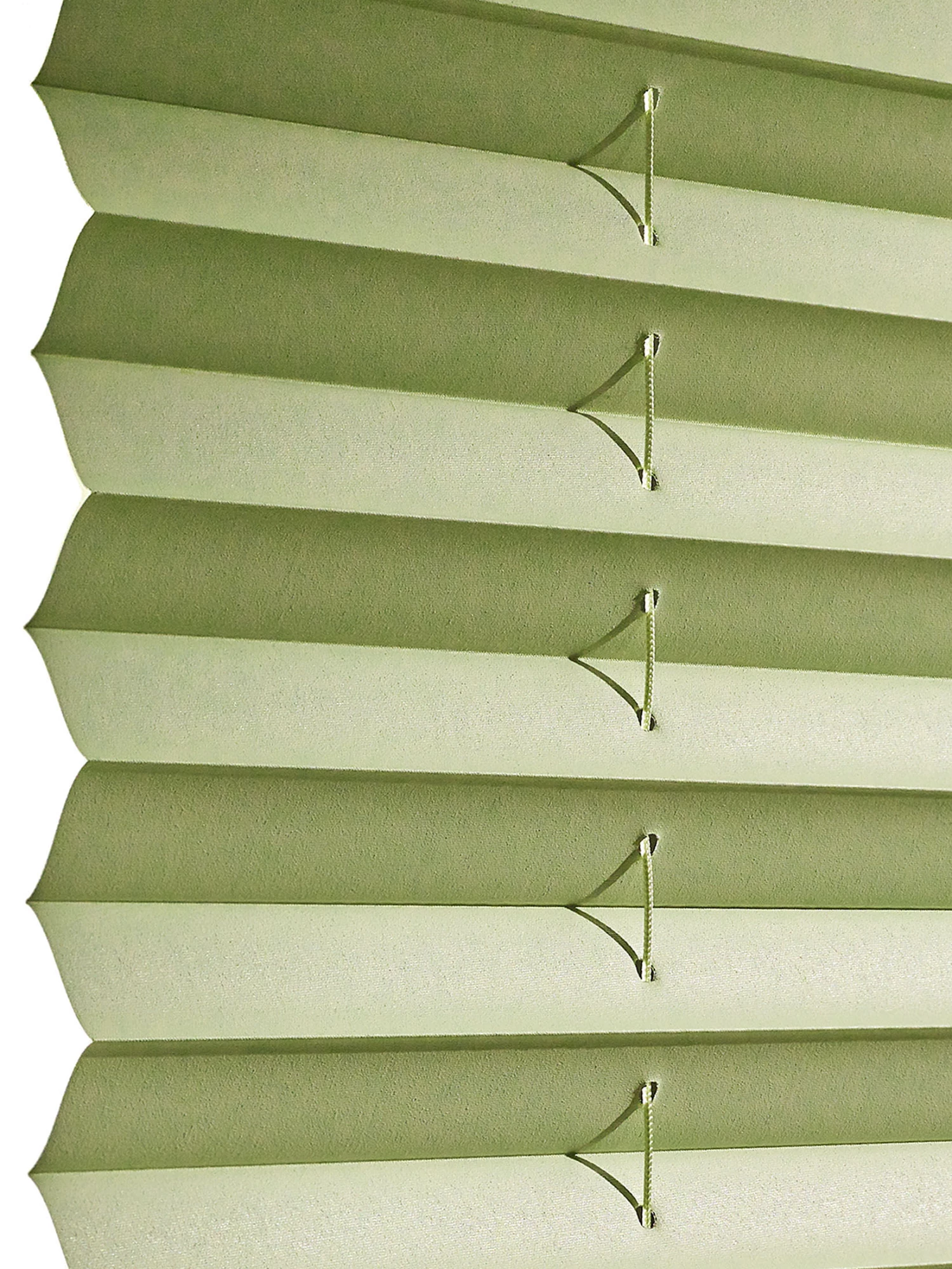 Plissee, Lindgrün 5 Plissee, Lindgrün – Bild 3