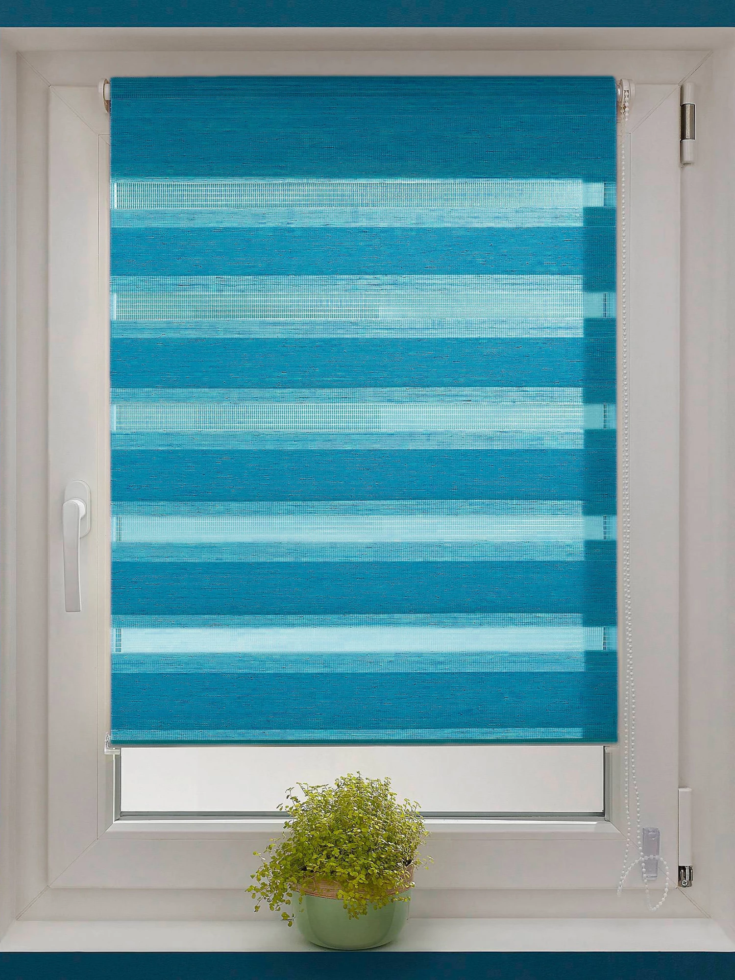 Rollo, Petrol 3 Rollo, Petrol