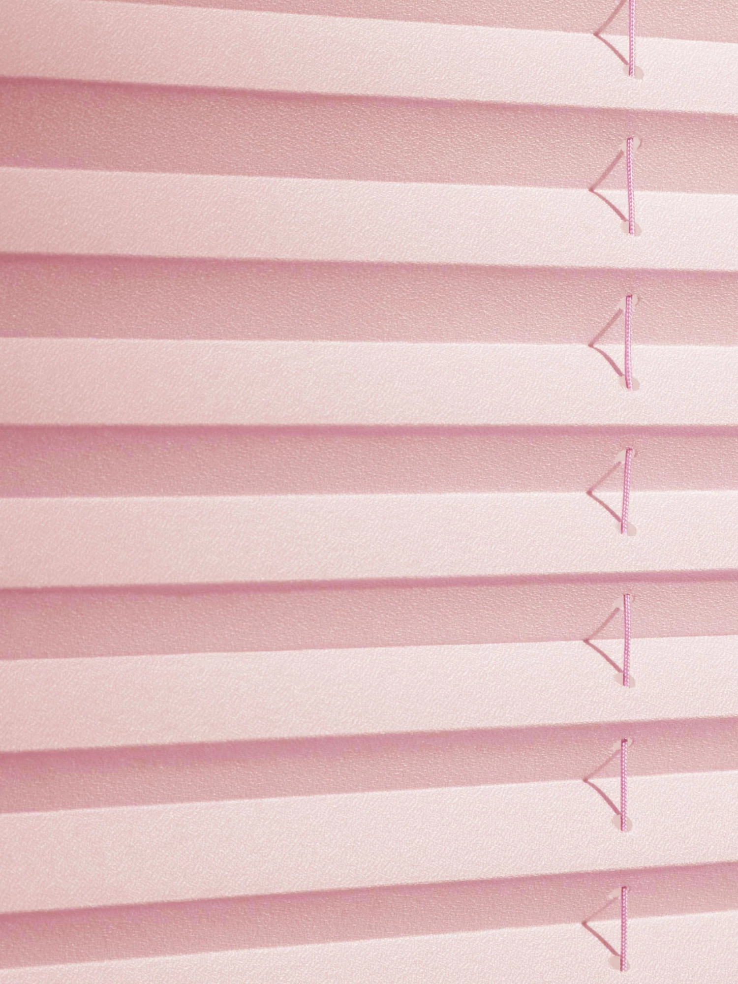 Plissee, Rosé 4 Plissee, Rosé – Bild 2