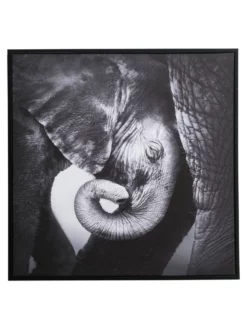 Leinwand-Druck-gerahmt, Schwarz -KIBEK Verkäufe ElephantBaby Druckgerahmt Grau Schwarz 60x60 pla