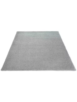 Hochflor-Teppich, Light Grey 9 Hochflor-Teppich, Light Grey -KIBEK Verkäufe Fiesta HochflorTeppich Hellgrau LightGrey 160x230 fper