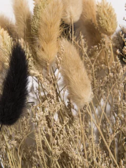 Trockenblume, Natural -KIBEK Verkäufe Flowerbouquet Trockenblume Dunkelbeige Natural 40 lup