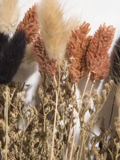 Trockenblume, Multicolor -KIBEK Verkäufe Flowerbouquet Trockenblume Mehrfarbig Multicolor 40 lup