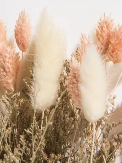 Trockenblume, Beige/Rosa -KIBEK Verkäufe Flowerbouquet Trockenblume Rosa BeigeRosa 40 lup