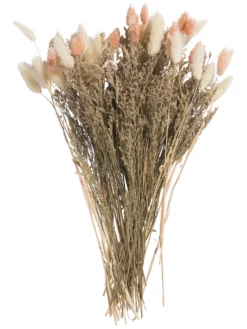 Trockenblume, Beige/Rosa -KIBEK Verkäufe Flowerbouquet Trockenblume Rosa BeigeRosa 40 pla1