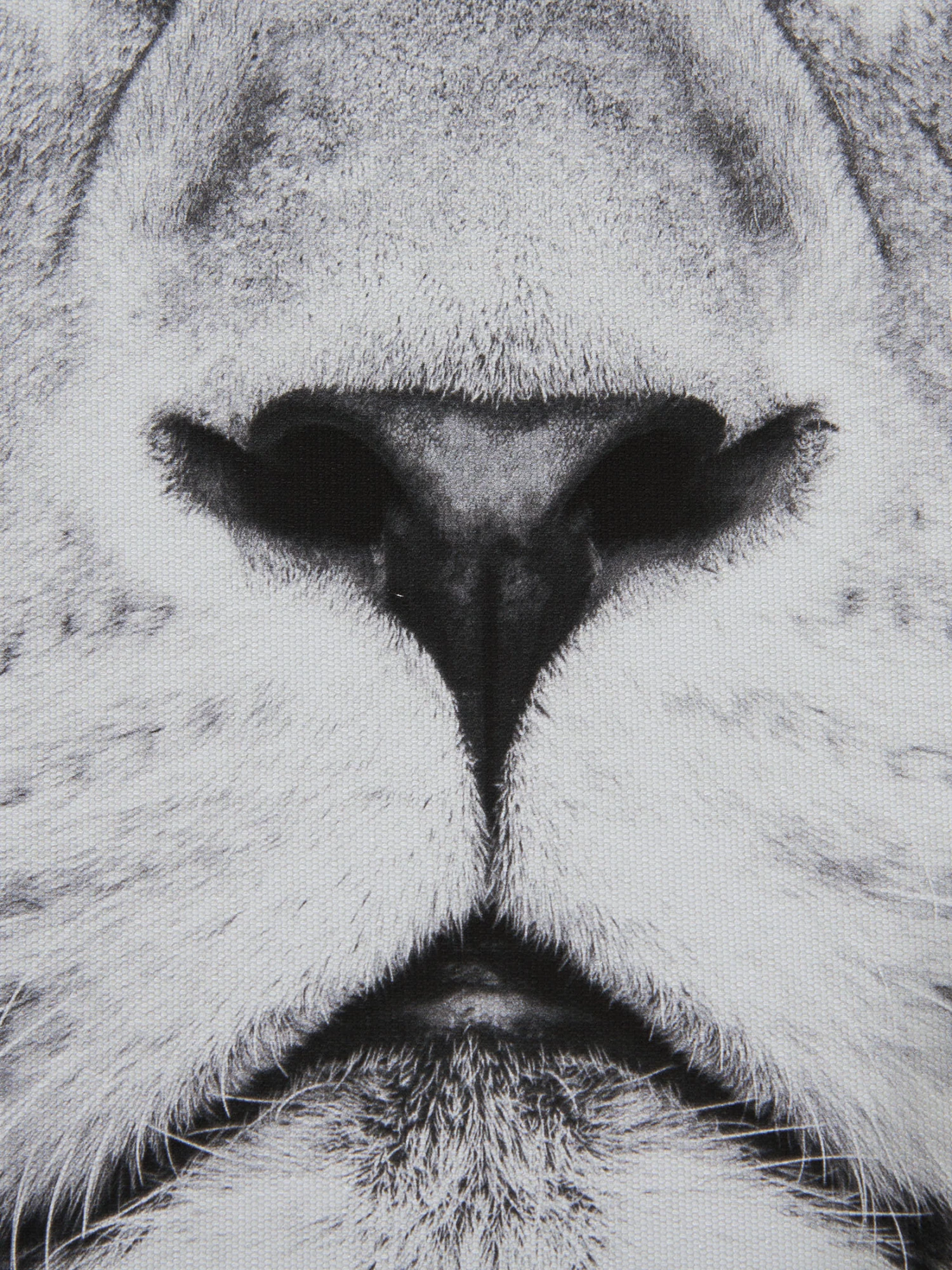 Leinwand-Druck-gerahmt, Schwarz/Grau 5 Leinwand-Druck-gerahmt, Schwarz/Grau – Bild 3