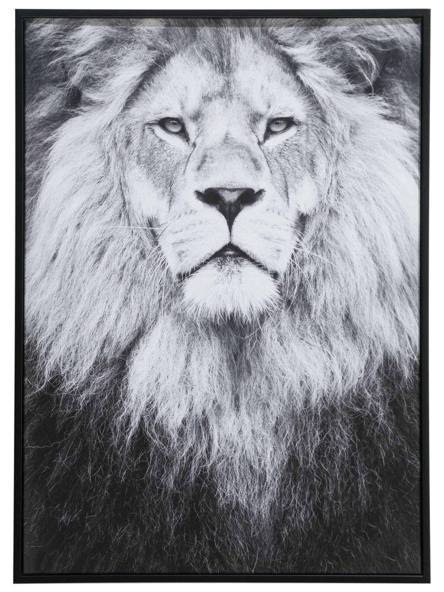 Leinwand-Druck-gerahmt, Schwarz/Grau 4 Leinwand-Druck-gerahmt, Schwarz/Grau – Bild 2