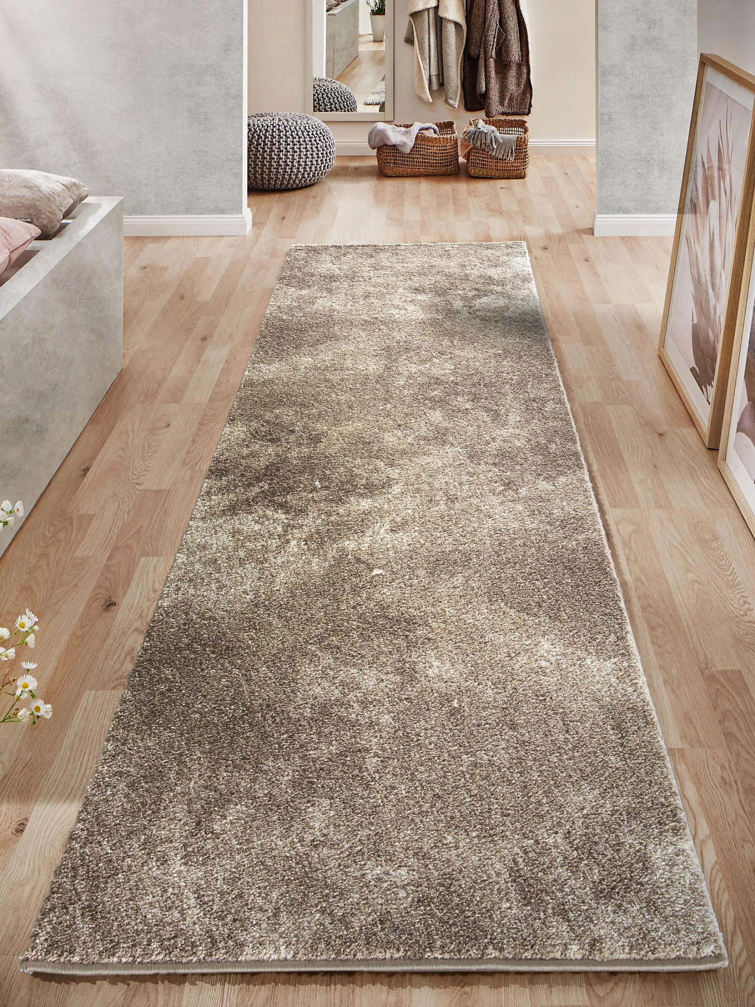 Läufer, Cerrus 3 Läufer, Cerrus