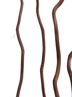 Trockenblume, Dunkelbraun -KIBEK Verkäufe Kuwastaebe Trockenblume Braun Dunkelbraun 80cm lup