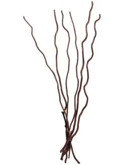 Trockenblume, Dunkelbraun