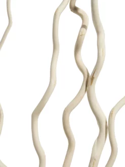 Trockenblume, Weiss -KIBEK Verkäufe Kuwastaebe Trockenblume Weiss 80cm lup