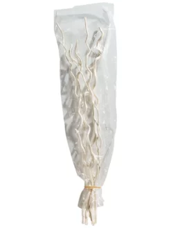 Trockenblume, Weiss -KIBEK Verkäufe Kuwastaebe Trockenblume Weiss 80cm pla2