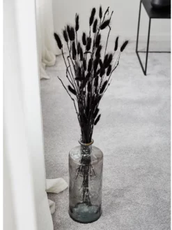 Trockenblume, Schwarz -KIBEK Verkäufe Lagurus Trockenblume Schwarz 75cm mil