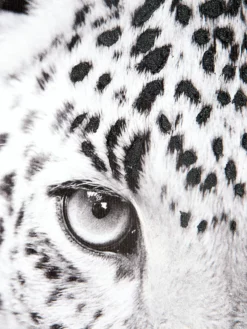 Leinwand-Druck-handbemalt, Grau -KIBEK Verkäufe LeopardWatch LeinwandDruck Grau 60x90 lup1