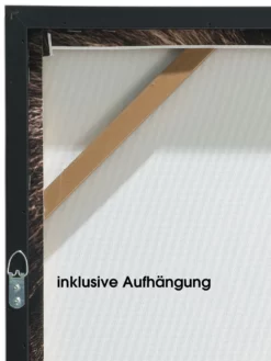 Leinwand-Druck-gerahmt, Braun -KIBEK Verkäufe Loewenkoenig Druckgerahmt Braun 50x70 ruk