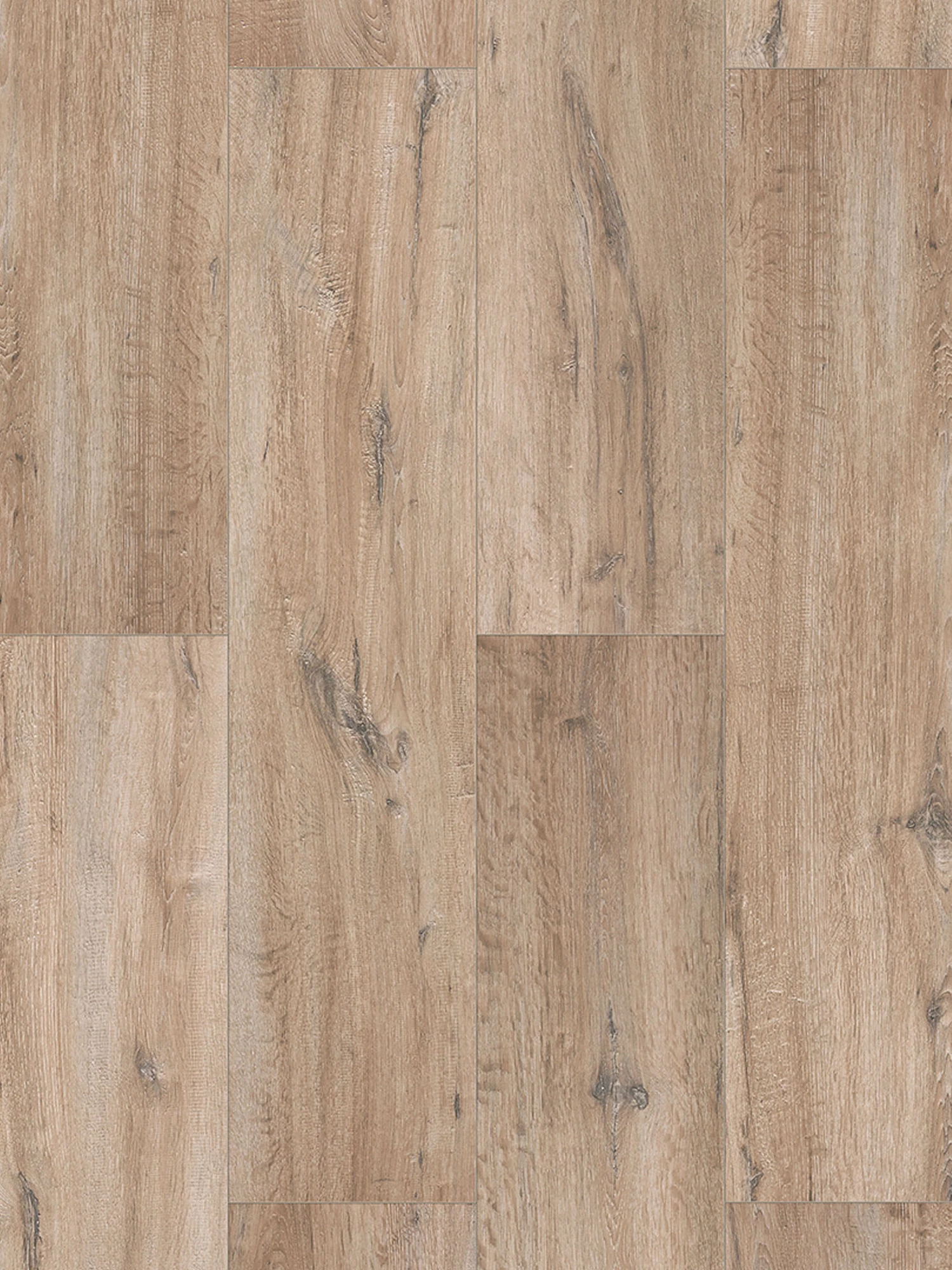 Klick-Laminat, Bright Living Oak 62269 5 Klick-Laminat, Bright Living Oak 62269 – Bild 3
