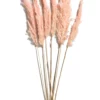 Trockenblume, Pink -KIBEK Verkäufe Pampasgrasbuendel6er Trockenblume 213869 Rosa Pink 65cm pla1