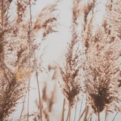 Leinwand-Druck-gerahmt, Dunkelbeige -KIBEK Verkäufe Parat Druckgerahmt Beige Dunkelbeige 52x72 lup