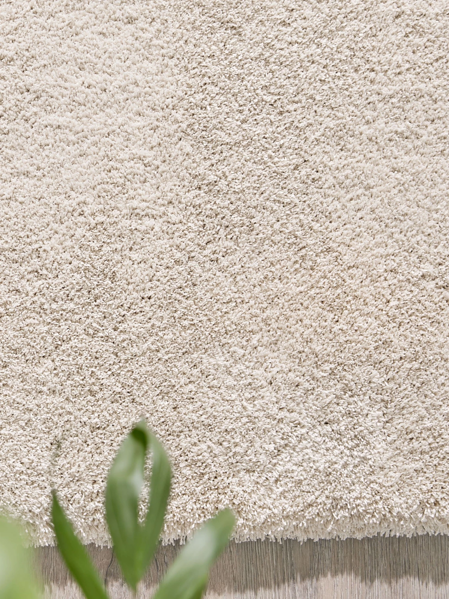 Hochflor-Teppich, Cream 4 Hochflor-Teppich, Cream – Bild 2