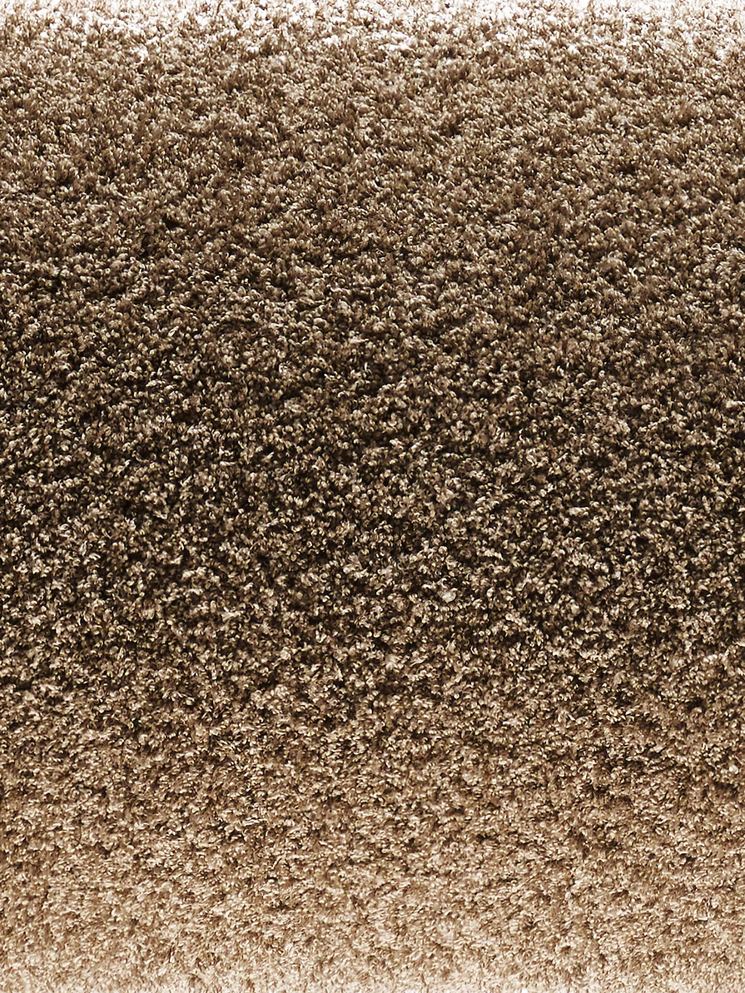 Hochflor-Teppich, Cappuccino 4 Hochflor-Teppich, Cappuccino – Bild 2