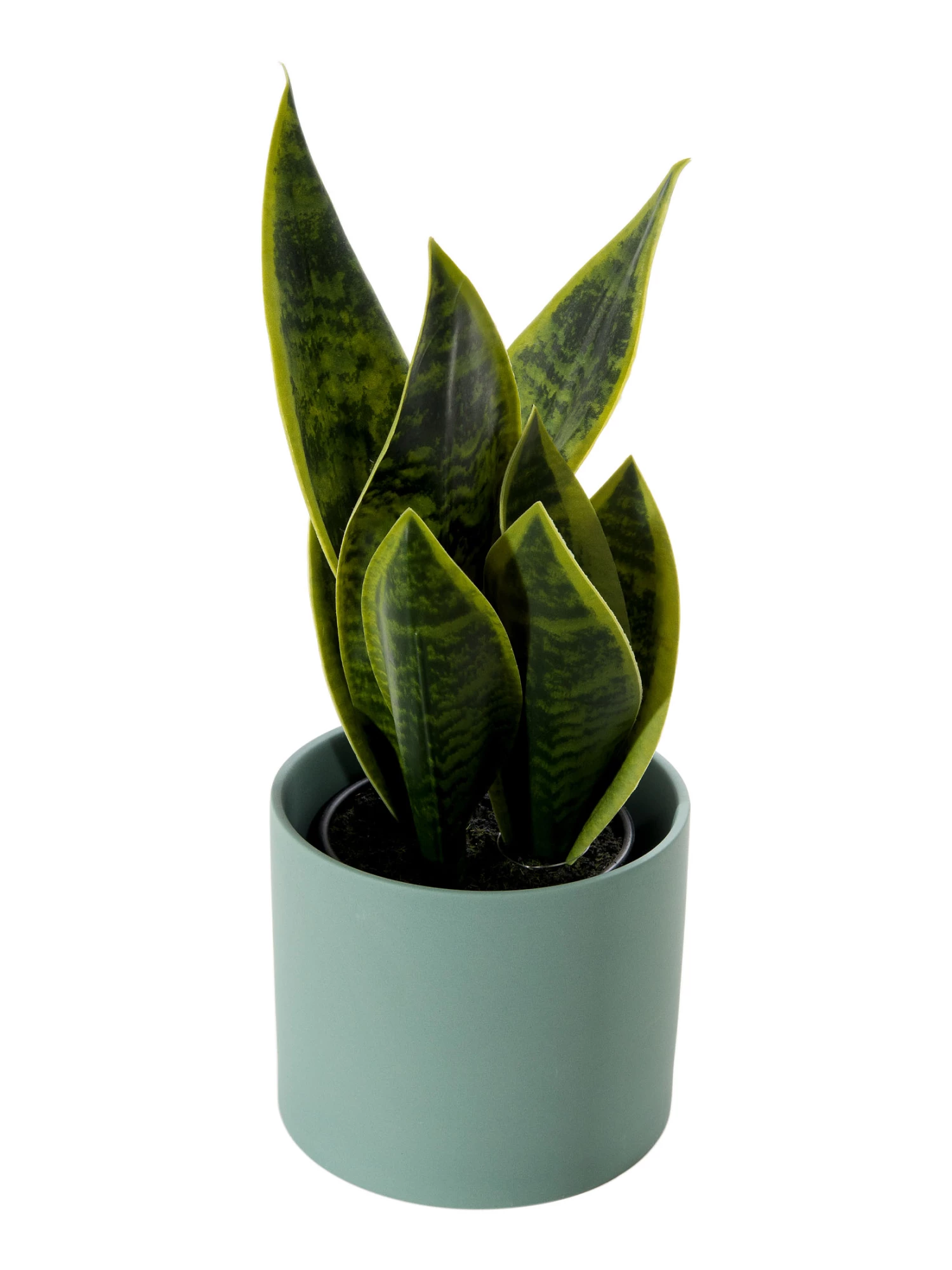 Pflanztopf, Peacock Green 3 Pflanztopf, Peacock Green