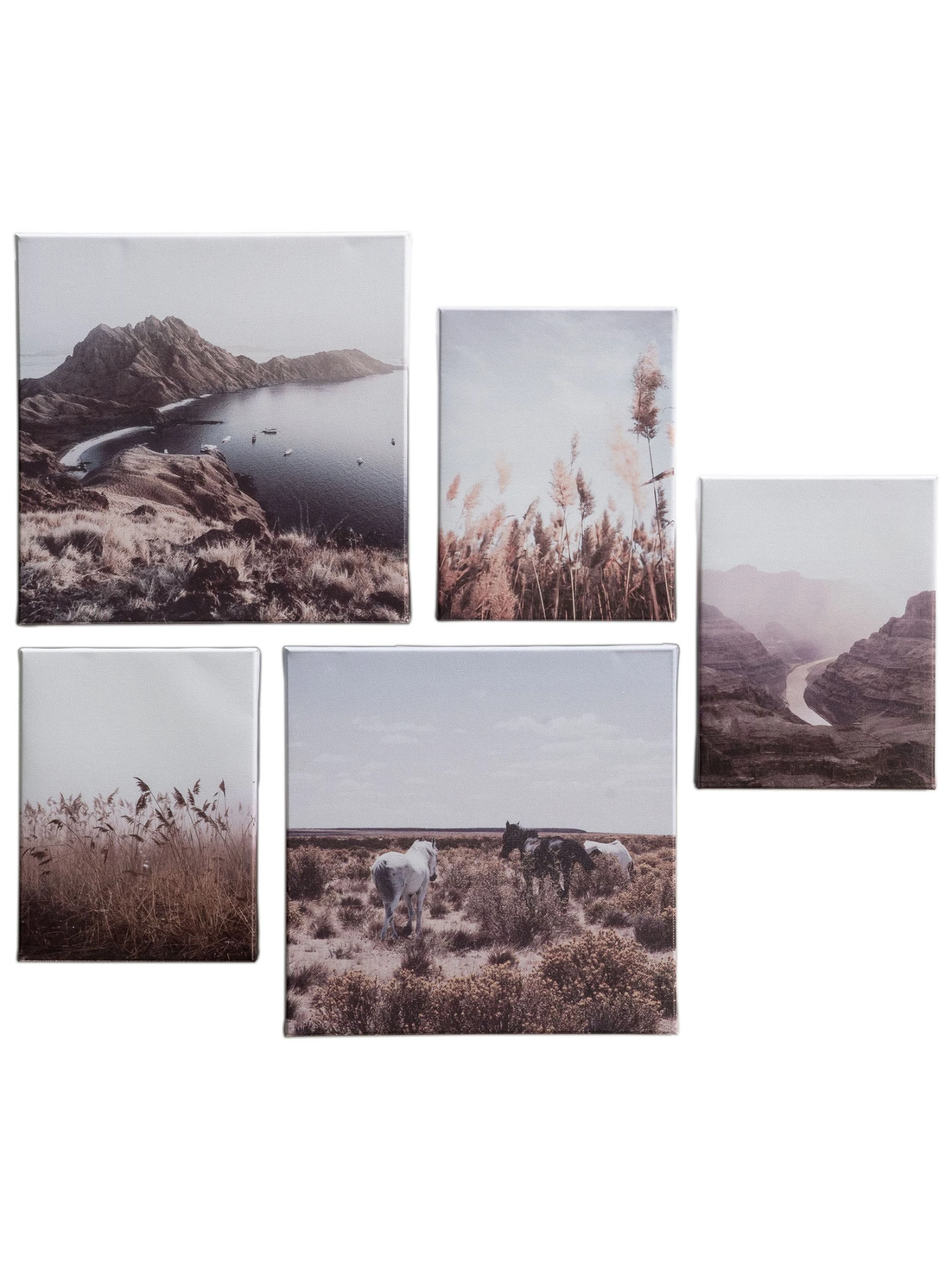 Druck, Hellbraun 4 Druck, Hellbraun – Bild 2